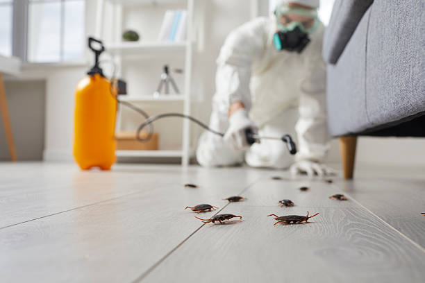 Commercial Kitchen Cockroach Control in Williston